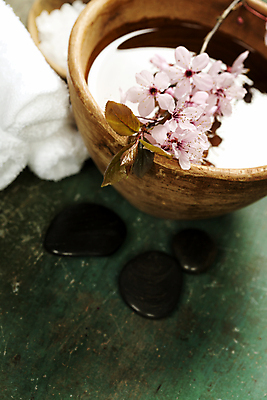 포토 JPG 해외이미지 실내 사람없음 물 수건 벚꽃 사발 나무바닥 스파용품 아로마테라피 스톤 꽃가지 해외202004 해외포토 자연요소 꽃 바닥 내부 위생용품 스파 나뭇가지 사기그릇 오브젝트 테라피 파일형식