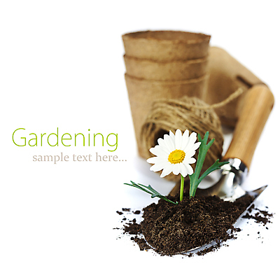 포토 JPG 해외이미지 화분 실내 사람없음 흙 모종삽 흰배경 원예 노끈 캐모마일 해외202004 해외포토 꽃 줄 백그라운드 취미 내부 흰색 삽 허브 파일형식