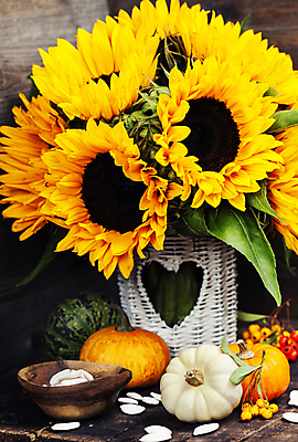 포토 JPG 해외이미지 호박 해바라기 실내 사람없음 하트 축하 해외202004 해외포토 모양 꽃 컨셉 채소 내부 파일형식