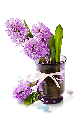 포토 JPG 해외이미지 리본 잎 부활절 실내 사람없음 꽃병 흰배경 원예 부활절계란 히아신스 해외202004 해외포토 식물 기념일 꽃 백그라운드 취미 내부 계란 흰색 파일형식