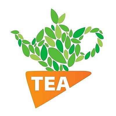 EPS 해외이미지 모양 디자인 잎 일러스트 주전자 사람없음 차 찻주전자 심볼 해외202004 해외202105 해외일러스트 식물 음료 주방용품 파일형식 벡터