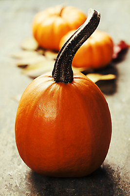 포토 JPG 해외이미지 호박 실내 사람없음 아웃포커스 농작물 가을 해외202004 해외포토 계절 농업 채소 촬영기법 내부 파일형식