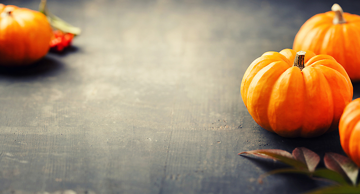 포토 JPG 해외이미지 낙엽 호박 실내 사람없음 농작물 가을 카피스페이스 해외202004 해외포토 계절 잎 농업 채소 내부 공백 파일형식