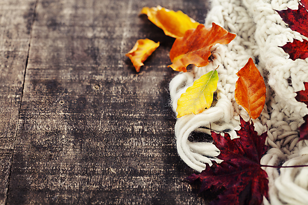 포토 JPG 해외이미지 낙엽 사람없음 가을 털실 나무탁자 카피스페이스 해외202004 해외포토 계절 잎 탁자 공백 실 파일형식