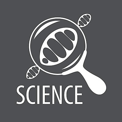 EPS 해외이미지 과학 일러스트 돋보기 세포 사람없음 스쿨라이프 회색 확대 심볼 과학교육 해외202004 해외202105 해외일러스트 라이프스타일 교육 컬러 학교 파일형식 벡터