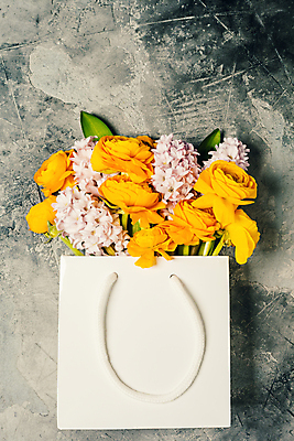 포토 JPG 해외이미지 꽃다발 봄꽃 회색배경 실내 사람없음 하이앵글 쇼핑백 담기 히아신스 해외202004 해외포토 꽃 뷰포인트 백그라운드 가방 모션 내부 봄 회색 파일형식