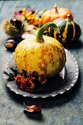 포토 JPG 해외이미지 꽃 낙엽 호박 쟁반 실내 사람없음 아웃포커스 농작물 가을 밤 밤송이 나무바닥 해외202004 해외포토 식물 계절 잎 농업 채소 바닥 촬영기법 내부 견과류 밤_견과류 파일형식