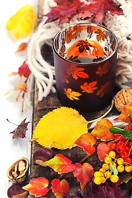 포토 JPG 해외이미지 낙엽 초 실내 사람없음 가을 털실 밤 흰배경 호두 호랑가시나무열매 해외202004 해외포토 계절 열매 백그라운드 잎 내부 견과류 흰색 실 파일형식