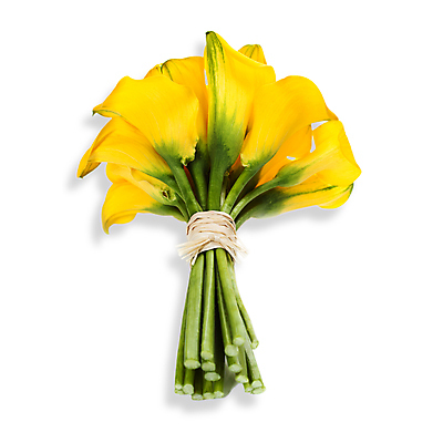 포토 JPG 해외이미지 꽃다발 실내 사람없음 카라 흰배경 칼라꽃 해외202004 해외포토 꽃 백그라운드 내부 흰색 파일형식