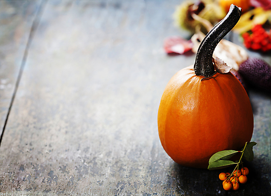 포토 JPG 해외이미지 열매 호박 실내 사람없음 아웃포커스 농작물 가을 나무바닥 카피스페이스 해외202004 해외포토 식물 계절 농업 채소 바닥 촬영기법 내부 공백 파일형식