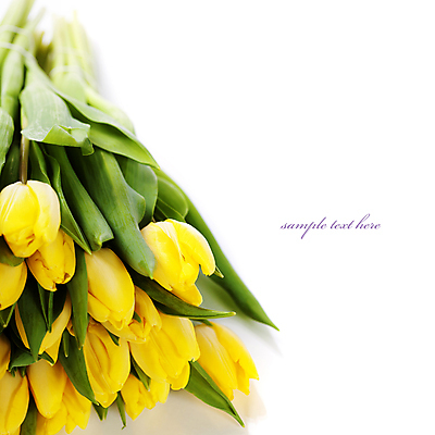 포토 JPG 해외이미지 꽃다발 실내 타이포그라피 사람없음 튤립 흰배경 카피스페이스 해외202004 해외포토 문자 꽃 백그라운드 내부 공백 흰색 파일형식
