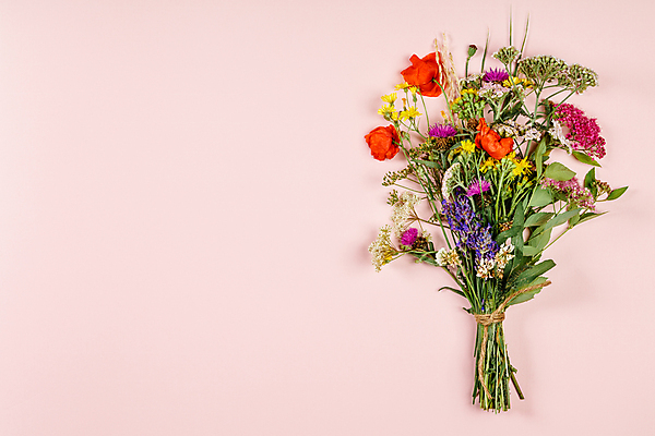 포토 JPG 해외이미지 꽃다발 실내 사람없음 들꽃 노끈 카피스페이스 분홍색배경 해외202004 해외포토 꽃 줄 분홍색 백그라운드 내부 공백 파일형식