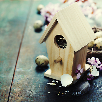 포토 JPG 해외이미지 꽃잎 잎 부활절 사람없음 아웃포커스 벚꽃 둥지 깃털 새장 메추리알 나무탁자 알껍데기 해외202004 해외포토 식물 기념일 꽃 탁자 촬영기법 알 케이지 파일형식