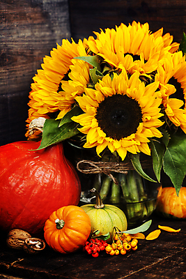 포토 JPG 해외이미지 호박 해바라기 실내 사람없음 하트 해외202004 해외포토 모양 꽃 채소 내부 파일형식