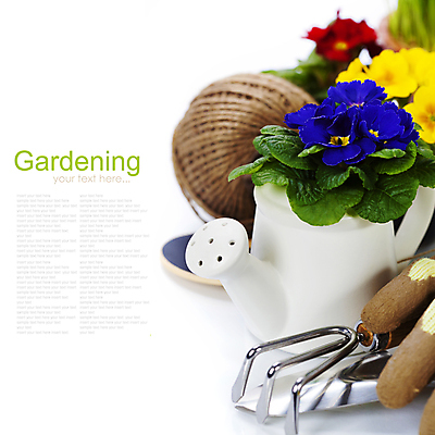 포토 JPG 해외이미지 화분 장갑 실내 사람없음 물뿌리개 모종삽 흰배경 원예 노끈 갈퀴 프리뮬러 해외202004 해외포토 잡화 꽃 줄 백그라운드 취미 내부 흰색 삽 파일형식