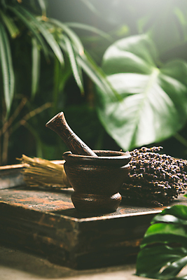 포토 JPG 해외이미지 잎 실내 사람없음 아로마 절구 아로마테라피 라벤더 나무쟁반 해외202004 해외포토 식물 꽃 쟁반 내부 목재 도구 허브 테라피 파일형식