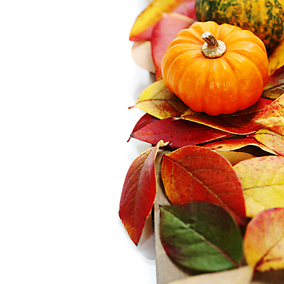 포토 JPG 해외이미지 낙엽 호박 실내 사람없음 농작물 가을 흰배경 카피스페이스 해외202004 해외포토 계절 백그라운드 잎 농업 채소 내부 공백 흰색 파일형식