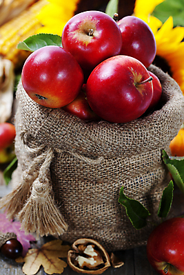 포토 JPG 해외이미지 실내 사람없음 아웃포커스 가을 신선 사과 담기 호두 자루 해외202004 해외포토 계절 과일 모션 촬영기법 내부 견과류 파일형식