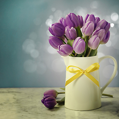 포토 JPG 해외이미지 꽃잎 리본 사람없음 꽃병 튤립 파란배경 블러효과 해외202004 해외포토 꽃 백그라운드 파란색 블러 파일형식 효과