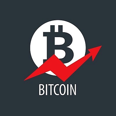 EPS 해외이미지 일러스트 비즈니스 사람없음 빨간색 경제 글로벌 디지털 검은색 흰색 심볼 가상화폐 해외202004 해외202105 해외일러스트 컬러 돈 파일형식 벡터