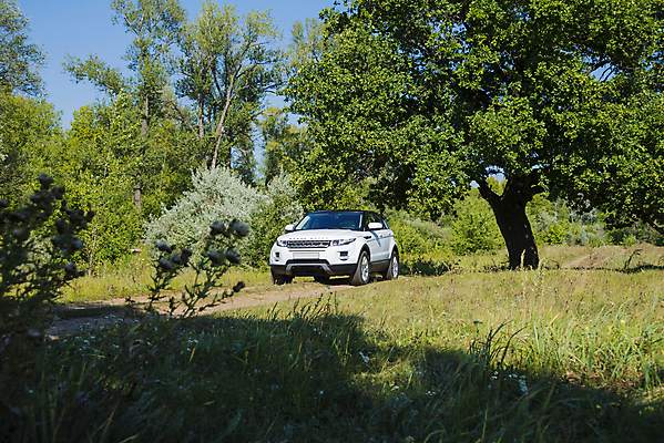 포토 JPG 해외이미지 나무 도로 여행 밭 모션 자동차 자연 하늘 불꽃 영국 서기 풍경 초원 사람없음 여름 태양 힘 운전 자유 흰색 시골 고급 숲 땅 언덕 러시아 엔진 솜씨 오프로드 자동 안락 해외202004 해외202105 해외포토 자연요소 식물 계절 유럽 길 육상교통 컬러 컨셉 농업 교통시설 불 생태계 파일형식