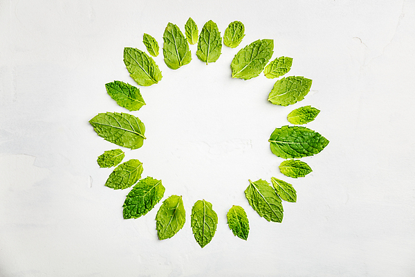포토 JPG 해외이미지 채소 실내 사람없음 하이앵글 민트 흰배경 채식 원형프레임 해외202004 해외포토 뷰포인트 백그라운드 프레임 내부 흰색 원형 허브 파일형식