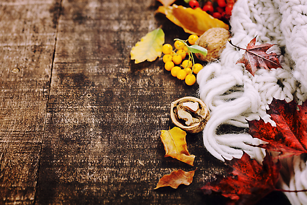 포토 JPG 해외이미지 낙엽 사람없음 가을 털실 호두 나무탁자 호랑가시나무열매 카피스페이스 해외202004 해외포토 계절 열매 잎 탁자 공백 견과류 실 파일형식