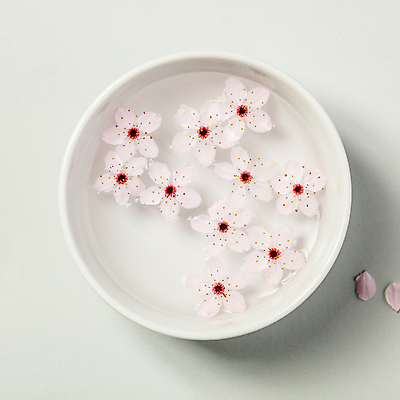 포토 JPG 해외이미지 그릇 꽃잎 실내 사람없음 물 벚꽃 흰배경 아로마테라피 해외202004 해외포토 자연요소 식기 꽃 백그라운드 내부 흰색 테라피 파일형식