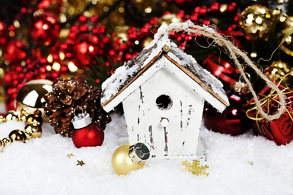 포토 JPG 해외이미지 크리스마스장식 크리스마스 사람없음 아웃포커스 눈 보케 새장 빛망울 오너먼트 해외202004 해외포토 자연요소 기념일 날씨 촬영기법 빛 케이지 파일형식