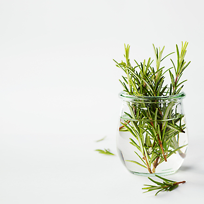 포토 JPG 해외이미지 유리병 실내 사람없음 물 허브 흰배경 담기 로즈메리 카피스페이스 해외202004 해외포토 자연요소 식물 백그라운드 모션 병_용기 내부 공백 흰색 파일형식