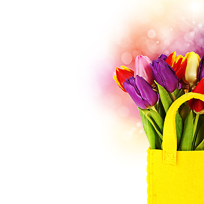 포토 JPG 해외이미지 꽃잎 가방 사람없음 튤립 흰배경 담기 블러효과 해외202004 해외포토 잡화 꽃 백그라운드 모션 흰색 블러 파일형식 효과