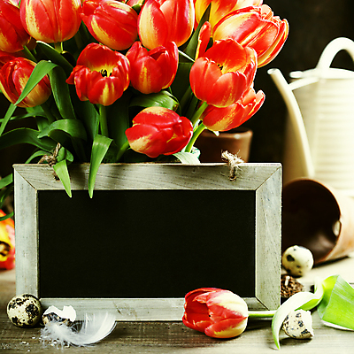 포토 JPG 해외이미지 화분 꽃다발 부활절 프레임 사람없음 아웃포커스 칠판 물뿌리개 튤립 깃털 메추리알 해외202004 해외포토 기념일 꽃 촬영기법 알 파일형식