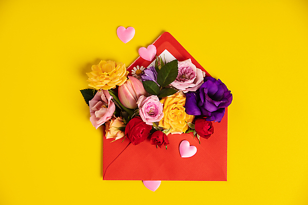 포토 JPG 해외이미지 꽃 편지봉투 실내 사람없음 장미 튤립 하트 편지 화사함 노란배경 해외202004 해외포토 모양 식물 백그라운드 컨셉 봉투 내부 노란색 파일형식