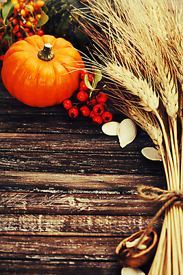 포토 JPG 해외이미지 열매 호박 실내 사람없음 농작물 벼 가을 나무바닥 호두 추수감사절 해외202004 해외포토 식물 계절 기독교 농업 채소 곡류 바닥 내부 견과류 파일형식