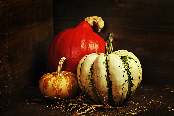 포토 JPG 해외이미지 호박 검은배경 실내 종류 사람없음 농작물 다양 가을 볏짚 해외202004 해외포토 계절 다수 백그라운드 농업 채소 내부 검은색 짚 파일형식