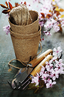 포토 JPG 해외이미지 화분 사람없음 벚꽃 나뭇가지 모종삽 원예 나무바닥 노끈 갈퀴 원예용품 해외202004 해외포토 나무 꽃 줄 생활용품 바닥 취미 삽 파일형식