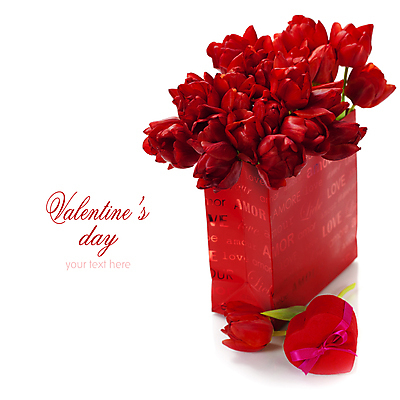 포토 JPG 해외이미지 리본 꽃다발 캘리그라피 발렌타인데이 사람없음 쇼핑백 튤립 흰배경 하트상자 해외202004 해외포토 꽃 백그라운드 가방 데이이벤트 상자 흰색 파일형식