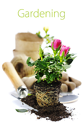 포토 JPG 해외이미지 화분 장갑 실내 사람없음 아웃포커스 장미 흙 모종삽 흰배경 원예 노끈 해외202004 해외포토 잡화 꽃 줄 백그라운드 촬영기법 취미 내부 흰색 삽 파일형식