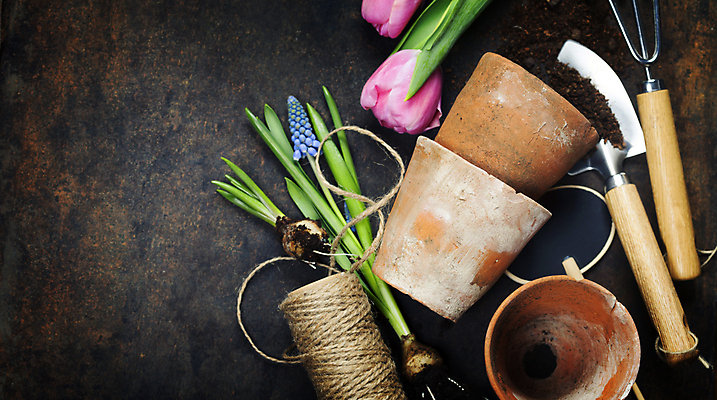포토 JPG 해외이미지 꽃 화분 사람없음 하이앵글 흙 튤립 모종삽 원예 노끈 갈퀴 원예용품 갈색배경 해외202004 해외포토 식물 줄 뷰포인트 생활용품 백그라운드 취미 갈색 삽 파일형식