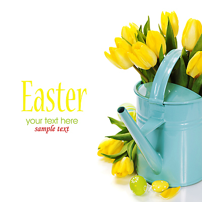 포토 JPG 해외이미지 꽃다발 부활절 실내 타이포그라피 사람없음 물뿌리개 튤립 흰배경 부활절계란 카피스페이스 해외202004 해외포토 문자 기념일 꽃 백그라운드 내부 계란 공백 흰색 파일형식