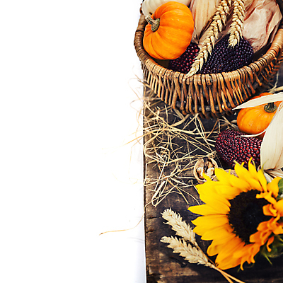 포토 JPG 해외이미지 호박 해바라기 실내 사람없음 농작물 바구니 벼 가을 볏짚 흰배경 나무바닥 호두 추수감사절 카피스페이스 흑찰옥수수 해외202004 해외포토 계절 꽃 기독교 백그라운드 농업 채소 곡류 바닥 내부 공백 견과류 흰색 짚 찰옥수수 파일형식
