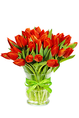 포토 JPG 해외이미지 리본 꽃다발 사람없음 꽃병 튤립 흰배경 해외202004 해외포토 꽃 백그라운드 흰색 파일형식