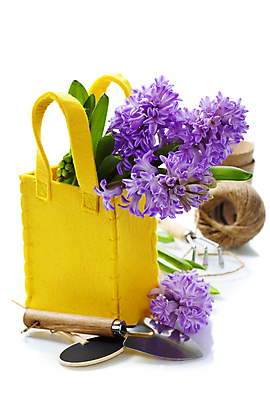 포토 JPG 해외이미지 화분 가방 실내 사람없음 모종삽 흰배경 원예 노끈 갈퀴 히아신스 해외202004 해외포토 잡화 꽃 줄 백그라운드 취미 내부 흰색 삽 파일형식