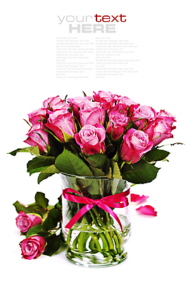 포토 JPG 해외이미지 리본 잎 실내 사람없음 장미 꽃병 흰배경 담기 해외202004 해외포토 식물 꽃 백그라운드 모션 내부 흰색 파일형식