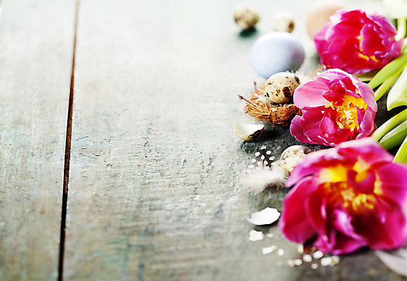 포토 JPG 해외이미지 부활절 실내 사람없음 튤립 둥지 깃털 부활절계란 메추리알 나무탁자 카피스페이스 해외202004 해외포토 기념일 꽃 탁자 내부 계란 알 공백 파일형식