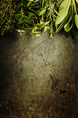 포토 JPG 해외이미지 식물 꽃 잎 실내 사람없음 그런지 카피스페이스 갈색배경 해외202004 해외포토 백그라운드 내부 갈색 공백 파일형식