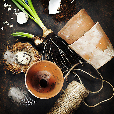 포토 JPG 해외이미지 꽃 화분 검은배경 근접촬영 사람없음 흙 둥지 모종삽 깃털 원예 노끈 새알 원예용품 해외202004 해외포토 식물 줄 뷰포인트 생활용품 백그라운드 취미 검은색 삽 파일형식