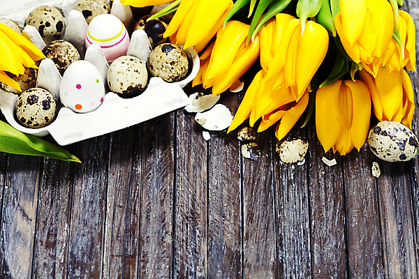 포토 JPG 해외이미지 꽃다발 부활절 실내 사람없음 튤립 껍질 부활절계란 메추리알 계란판 나무탁자 카피스페이스 해외202004 해외포토 기념일 꽃 탁자 내부 계란 알 공백 파일형식