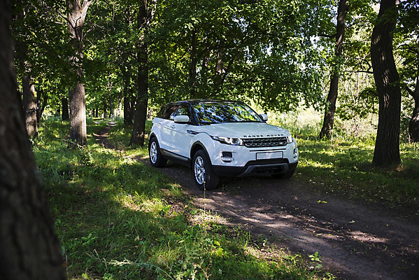 포토 JPG 해외이미지 나무 도로 여행 밭 모션 자동차 자연 하늘 불꽃 영국 서기 풍경 초원 사람없음 여름 태양 힘 운전 자유 흰색 시골 고급 숲 땅 언덕 러시아 엔진 솜씨 오프로드 자동 안락 해외202004 해외202105 해외포토 자연요소 식물 계절 유럽 길 육상교통 컬러 컨셉 농업 교통시설 불 생태계 파일형식