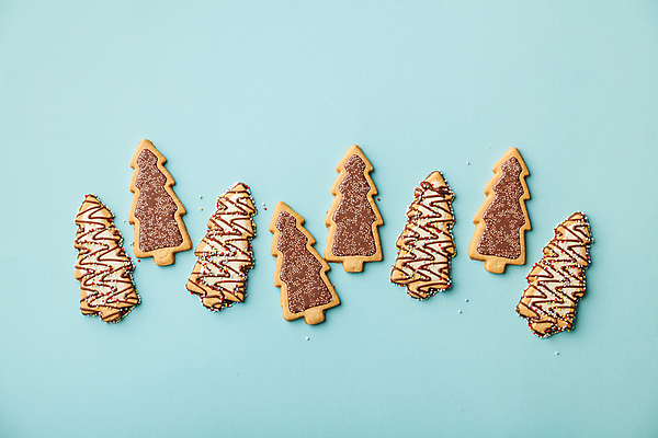 포토 JPG 해외이미지 크리스마스 실내 사람없음 여러개 달콤 파란배경 크리스마스트리모양쿠키 트리모양 해외202004 해외포토 모양 기념일 다수 백그라운드 내부 파란색 크리스마스트리 쿠키 맛 파일형식